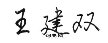駱恆光王建雙行書個性簽名怎么寫