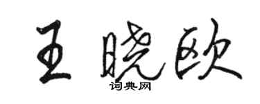 駱恆光王曉歐行書個性簽名怎么寫