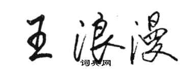 駱恆光王浪漫行書個性簽名怎么寫