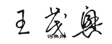 駱恆光王茂興草書個性簽名怎么寫