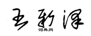 朱錫榮王新澤草書個性簽名怎么寫