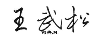 駱恆光王武松行書個性簽名怎么寫