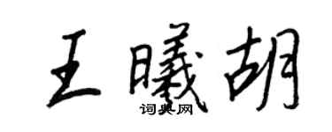 王正良王曦胡行書個性簽名怎么寫