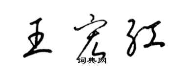 梁錦英王宏紅草書個性簽名怎么寫