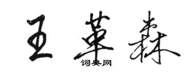 駱恆光王革森行書個性簽名怎么寫