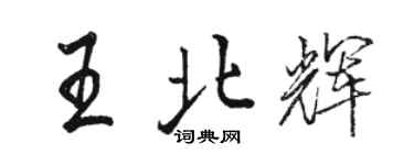 駱恆光王北輝行書個性簽名怎么寫