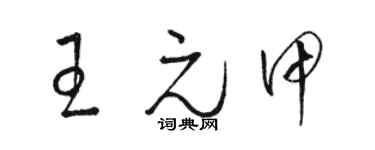 駱恆光王元甲草書個性簽名怎么寫