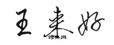 駱恆光王來好行書個性簽名怎么寫