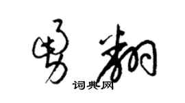 梁錦英勇翻草書個性簽名怎么寫
