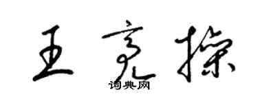 梁錦英王亮操草書個性簽名怎么寫