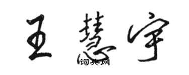 駱恆光王慧宇行書個性簽名怎么寫