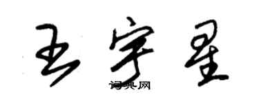朱錫榮王宇星草書個性簽名怎么寫