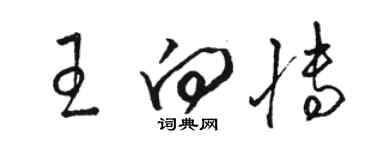 駱恆光王向博草書個性簽名怎么寫