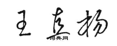 駱恆光王直楊草書個性簽名怎么寫
