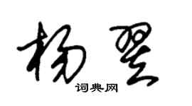 朱錫榮楊翌草書個性簽名怎么寫