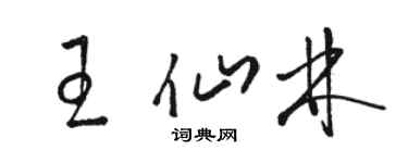 駱恆光王仙林草書個性簽名怎么寫