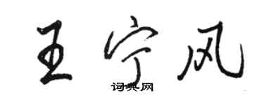 駱恆光王寧風行書個性簽名怎么寫