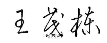 駱恆光王茂棟草書個性簽名怎么寫