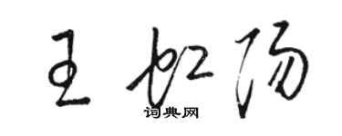 駱恆光王虹陽草書個性簽名怎么寫