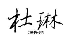 王正良杜琳行書個性簽名怎么寫