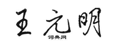 駱恆光王元明行書個性簽名怎么寫