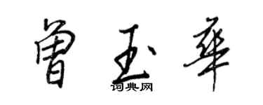 王正良曾玉華行書個性簽名怎么寫