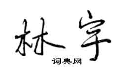 曾慶福林宇行書個性簽名怎么寫