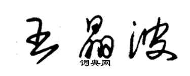 朱錫榮王晶波草書個性簽名怎么寫