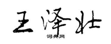 曾慶福王澤壯行書個性簽名怎么寫