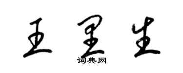 梁錦英王里生草書個性簽名怎么寫