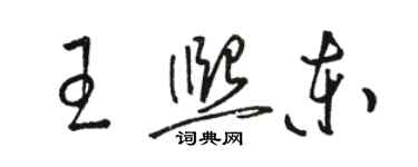 駱恆光王熙東草書個性簽名怎么寫