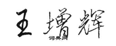 駱恆光王增輝行書個性簽名怎么寫