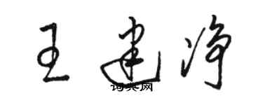 駱恆光王建淨草書個性簽名怎么寫