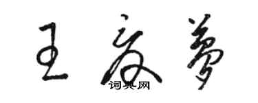 駱恆光王夏夢草書個性簽名怎么寫