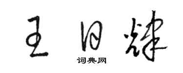 駱恆光王日輝草書個性簽名怎么寫