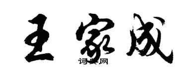 胡問遂王家成行書個性簽名怎么寫