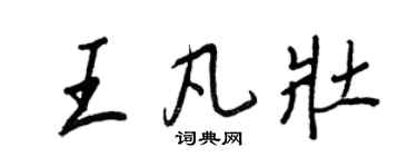 王正良王凡壯行書個性簽名怎么寫