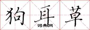 黃華生狗耳草楷書怎么寫