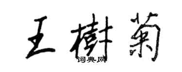 王正良王樹菊行書個性簽名怎么寫