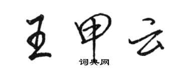 駱恆光王甲雲行書個性簽名怎么寫