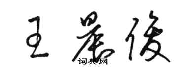 駱恆光王晨俊草書個性簽名怎么寫