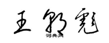 梁錦英王朝彪草書個性簽名怎么寫