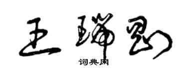 曾慶福王瑞剛草書個性簽名怎么寫