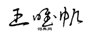 曾慶福王唯帆草書個性簽名怎么寫