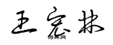 曾慶福王宏林草書個性簽名怎么寫