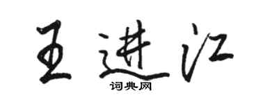 駱恆光王進江行書個性簽名怎么寫