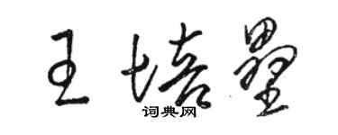 駱恆光王培壘草書個性簽名怎么寫