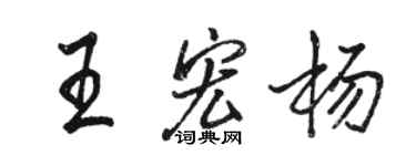 駱恆光王宏楊行書個性簽名怎么寫