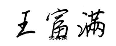 王正良王富滿行書個性簽名怎么寫