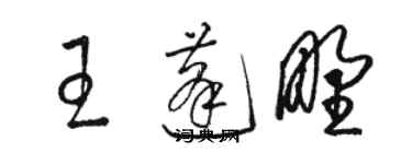 駱恆光王蓬野草書個性簽名怎么寫